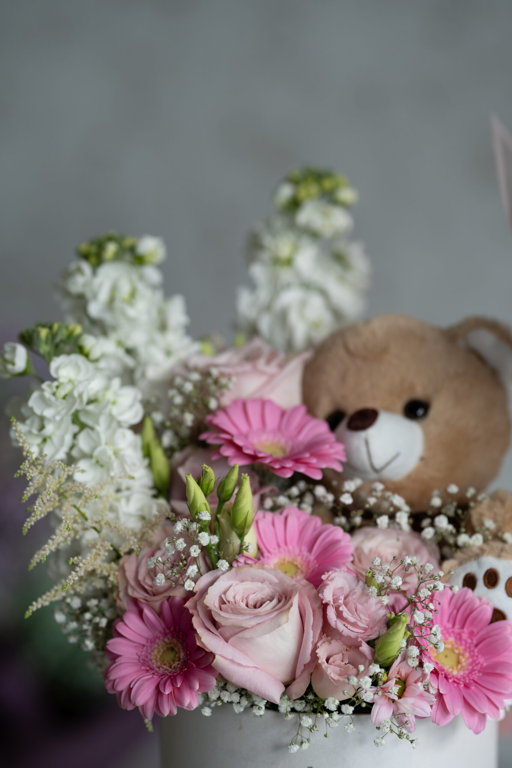 Enteka Teddy Box - obrazek 2
