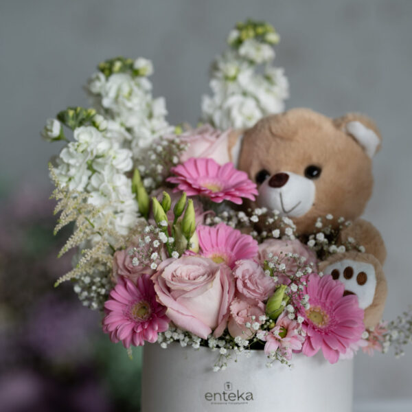 Enteka Teddy Box
